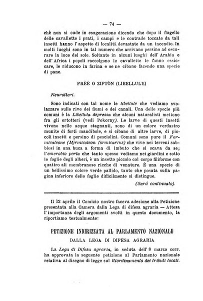 Bollettino del Comizio agrario e della Consociazione italiana pel miglioramento degli animali da cortile, frutta ed ortaggi