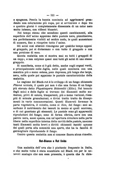 Bollettino del Comizio agrario e della Consociazione italiana pel miglioramento degli animali da cortile, frutta ed ortaggi