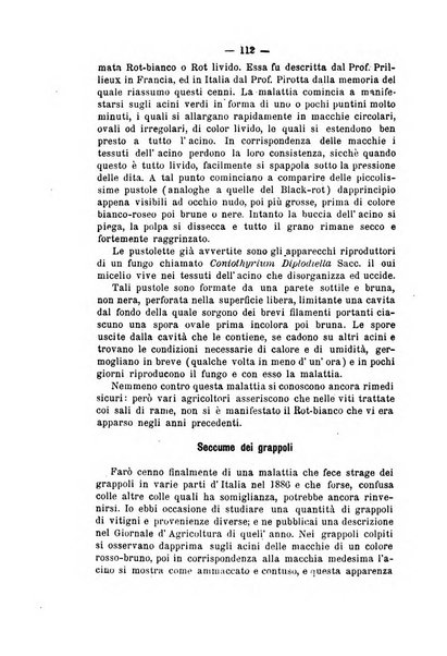 Bollettino del Comizio agrario e della Consociazione italiana pel miglioramento degli animali da cortile, frutta ed ortaggi