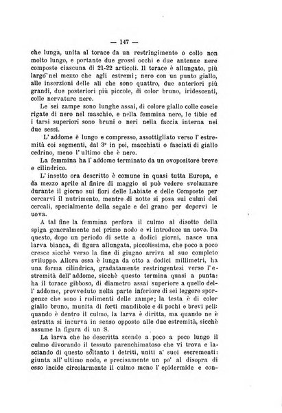 Bollettino del Comizio agrario e della Consociazione italiana pel miglioramento degli animali da cortile, frutta ed ortaggi