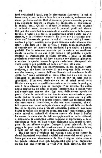 Il divoto di S. Giuseppe