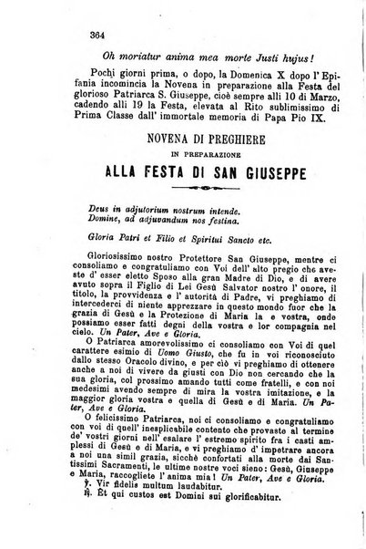 Il divoto di S. Giuseppe