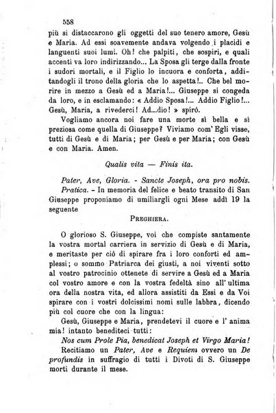 Il divoto di S. Giuseppe