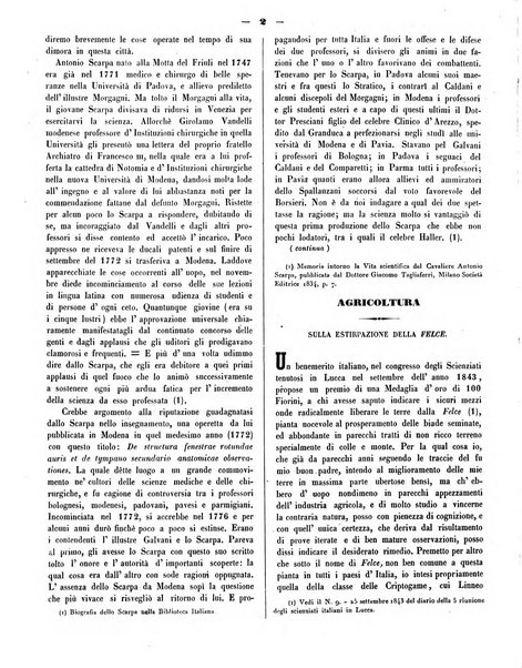 L'indicatore modenese giornale di lettere, industria e varieta con bollettino commerciale