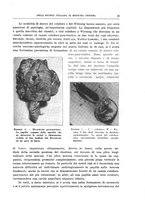 giornale/MOD0345779/1931/v.3/00000017