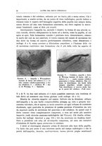 giornale/MOD0345779/1931/v.3/00000018