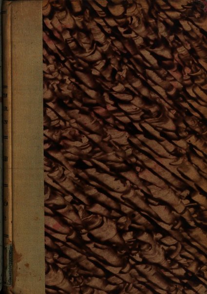 Lavori dei congressi di medicina interna