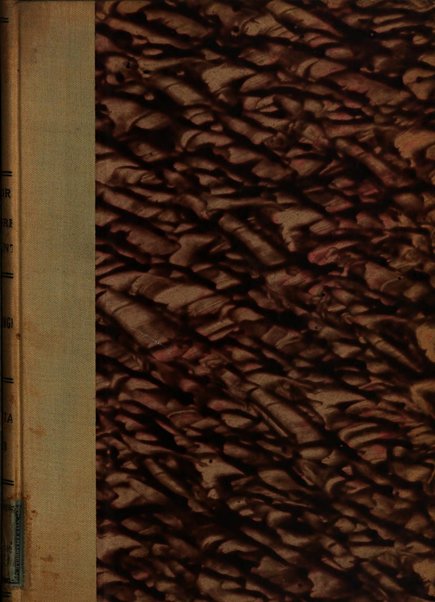 Lavori dei congressi di medicina interna