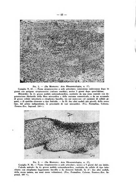 Lavori dei congressi di medicina interna