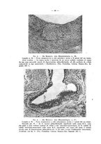 giornale/MOD0345779/1933/v.1/00000050