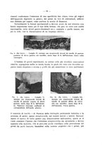 giornale/MOD0345779/1933/v.1/00000085