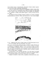 giornale/MOD0345779/1933/v.1/00000098