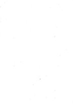 giornale/MOD0345779/1934/v.3/00000071