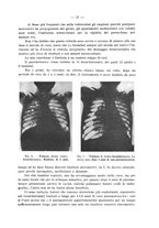 giornale/MOD0345779/1934/v.5/00000061