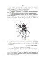 giornale/MOD0345779/1935/v.4/00000018