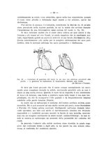 giornale/MOD0345779/1935/v.4/00000064