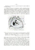 giornale/MOD0345779/1935/v.4/00000083