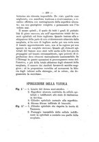 giornale/NAP0004978/1885-1886/unico/00000503