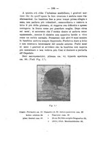 giornale/NAP0004978/1919/unico/00000138