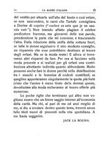 giornale/NAP0005731/1916/unico/00000107