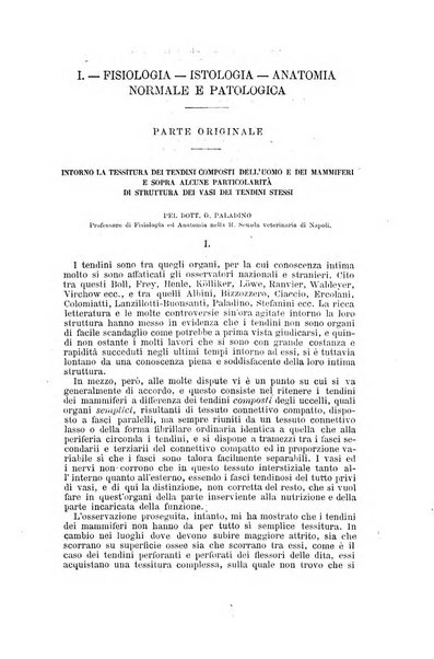 Giornale internazionale delle scienze mediche