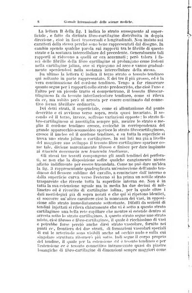 Giornale internazionale delle scienze mediche