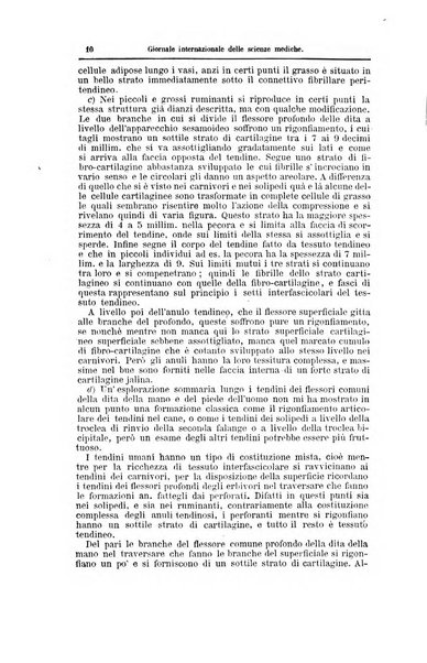 Giornale internazionale delle scienze mediche