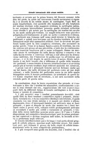 Giornale internazionale delle scienze mediche