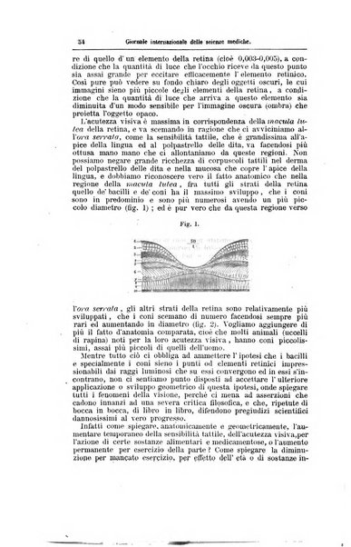 Giornale internazionale delle scienze mediche