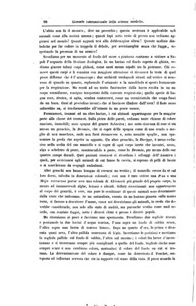 Giornale internazionale delle scienze mediche