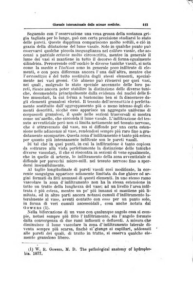 Giornale internazionale delle scienze mediche