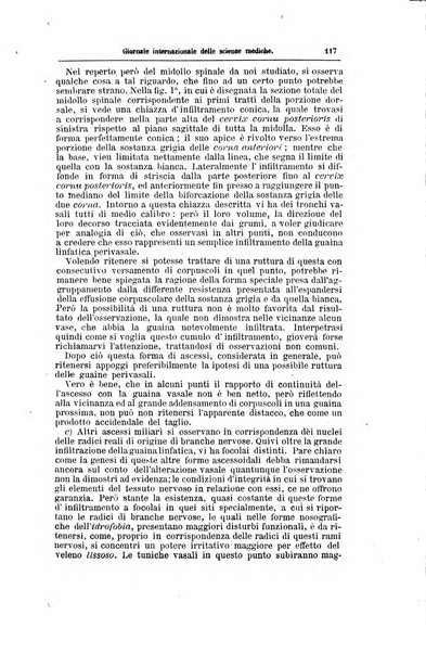 Giornale internazionale delle scienze mediche