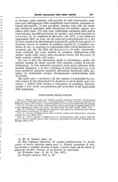 Giornale internazionale delle scienze mediche