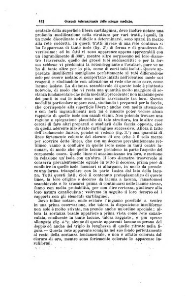 Giornale internazionale delle scienze mediche