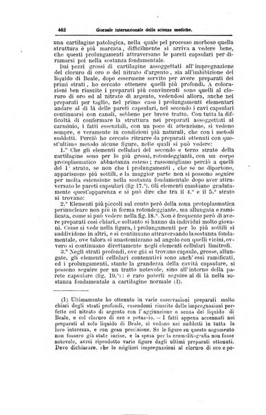 Giornale internazionale delle scienze mediche