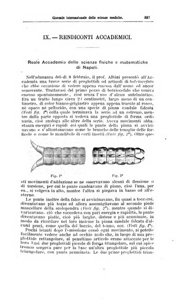 Giornale internazionale delle scienze mediche