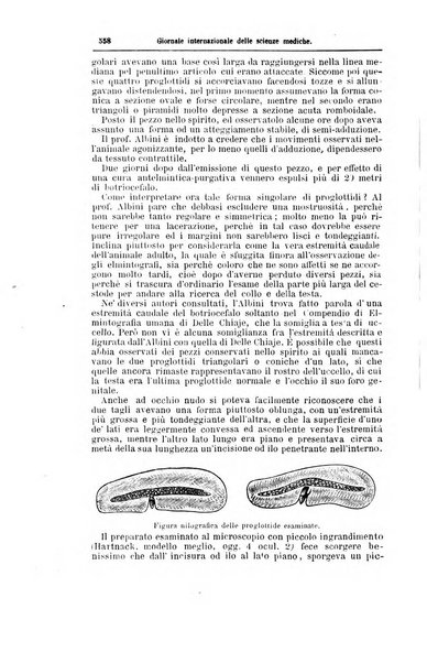 Giornale internazionale delle scienze mediche