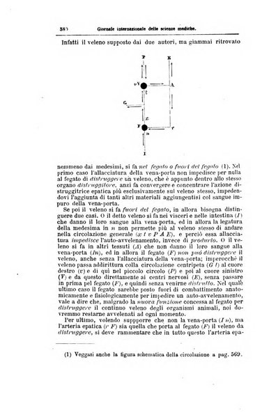 Giornale internazionale delle scienze mediche