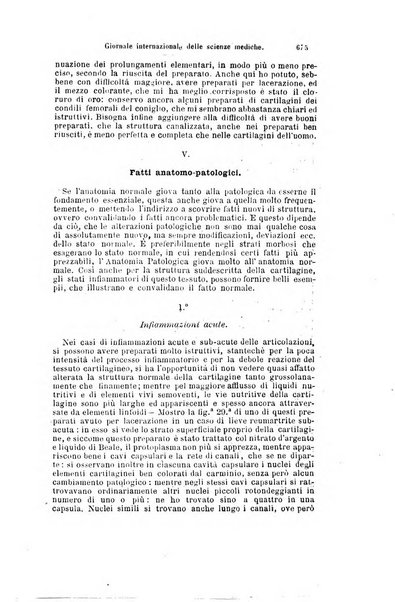 Giornale internazionale delle scienze mediche