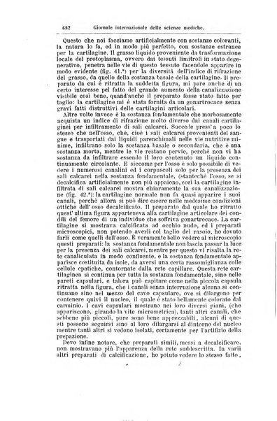 Giornale internazionale delle scienze mediche