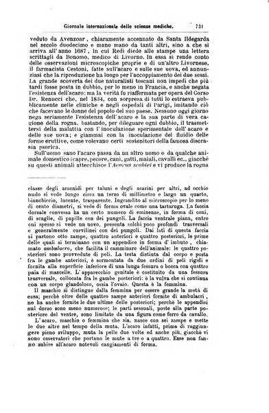 Giornale internazionale delle scienze mediche