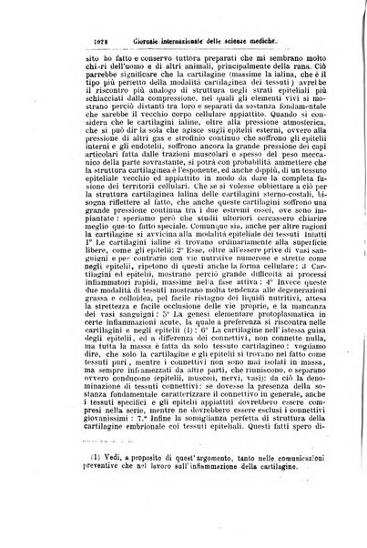 Giornale internazionale delle scienze mediche