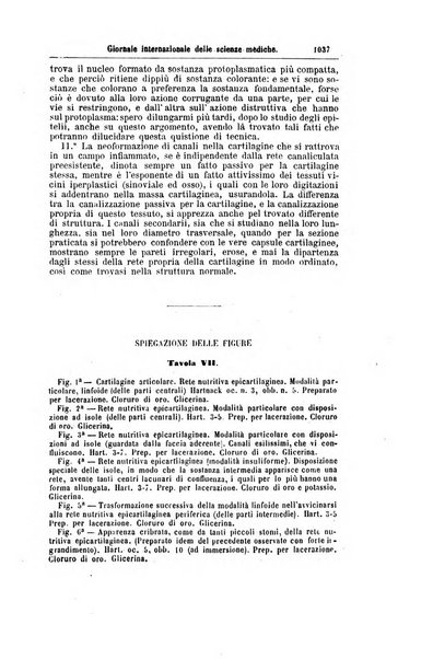 Giornale internazionale delle scienze mediche