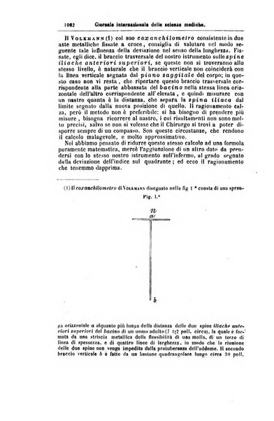 Giornale internazionale delle scienze mediche