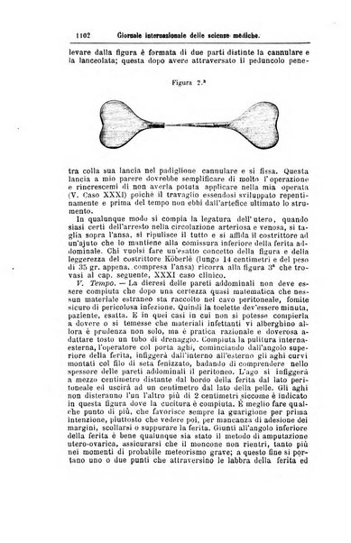 Giornale internazionale delle scienze mediche