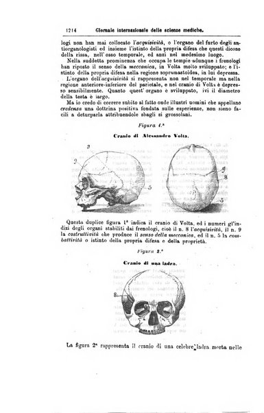 Giornale internazionale delle scienze mediche