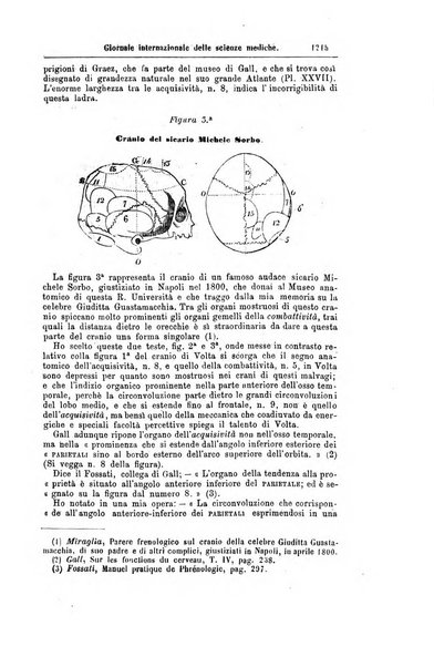 Giornale internazionale delle scienze mediche