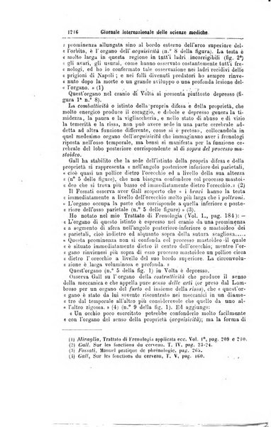 Giornale internazionale delle scienze mediche