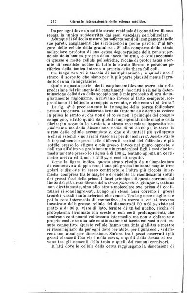 Giornale internazionale delle scienze mediche