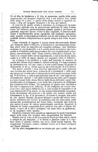 Giornale internazionale delle scienze mediche